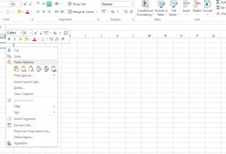 MS Excel Copy-Paste Types