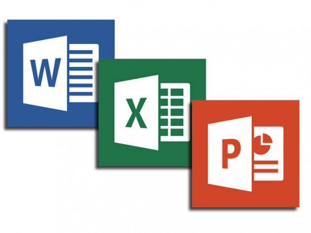MS Word Excel PowerPoint Course